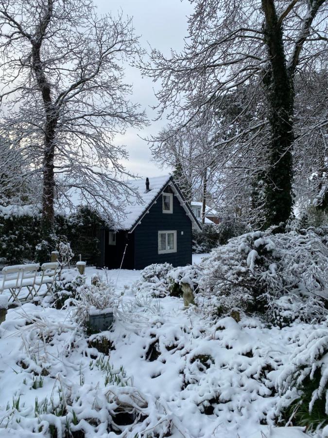 Garden Find Zandvoort Bentveld Exteriér fotografie